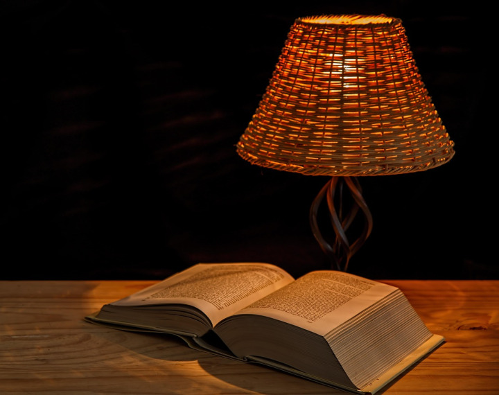 cozy reading book